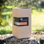 Passeite Orange Balanced Ekstra Väärisoliiviõli 2L