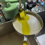 Passeite Yellow Intense Ekstra Väärisoliiviõli 2L